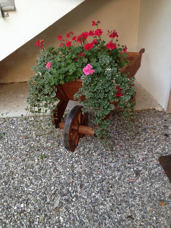 Farmstay Alloggio Cort Di Branc Povoletto Exterior foto